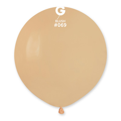 Blush 48cm 10 pièces Mes Ballons 