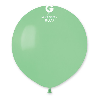 Vert Menthe 48cm 10 pièces Mes Ballons 