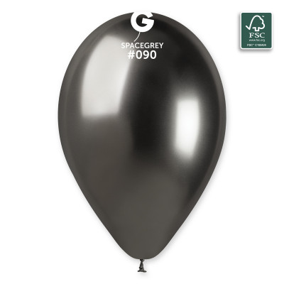 Ballons Brillant Gris Spatial 33cm 5 pièces Mes Ballons Gris Spatial #090