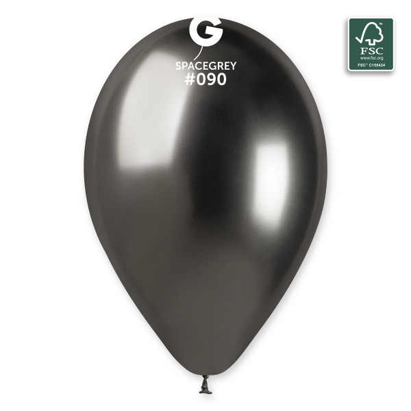 Ballons Brillant Gris Spatial 33cm 5 pièces