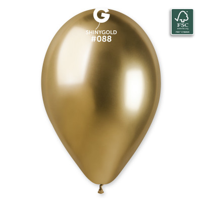 Ballons Assortiments, Brillant 33cm 5 pièces Mes Ballons Brillant Assortiment #305890: Doré Brillant #088, Argenté Brillant #
