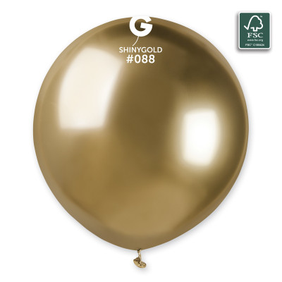 Ballons Assortiments, Brillant 48cm 3 pièces Mes Ballons Brillant Assortiment #305906: Doré Brillant #088, Argenté Brillant #